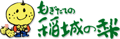 もぎたての稲城の梨